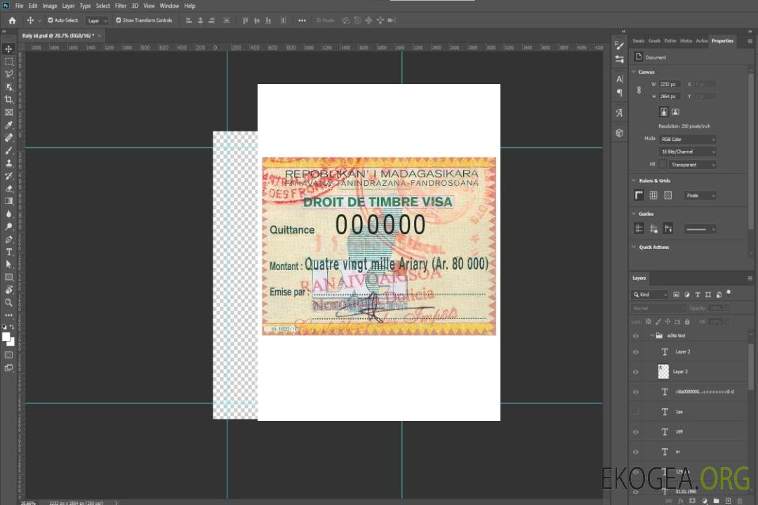 Visa MADAGASCAR template